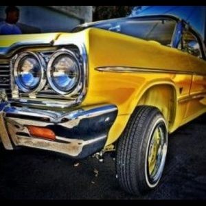 Meet your Posher, Hale